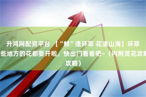 升鸿网配资平台 【“鲜”逢环翠 花漾山海】环翠这些地方的花都要开啦，快出门看看吧~（内附赏花攻略）