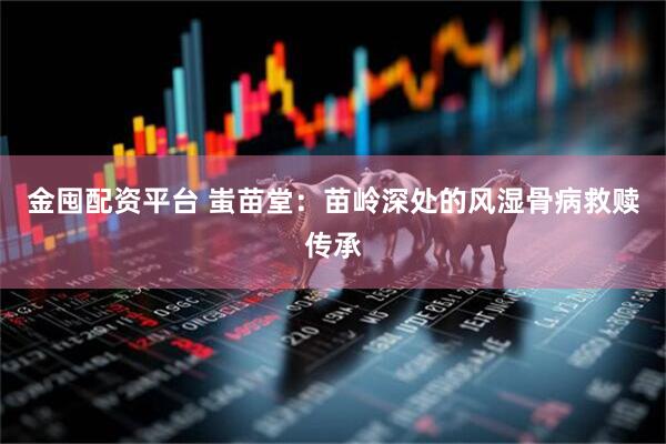 金囤配资平台 蚩苗堂：苗岭深处的风湿骨病救赎传承