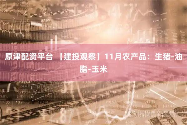 原津配资平台 【建投观察】11月农产品：生猪-油脂-玉米