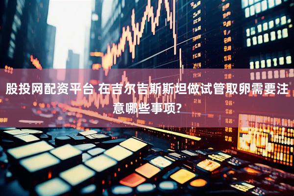 股投网配资平台 在吉尔吉斯斯坦做试管取卵需要注意哪些事项?