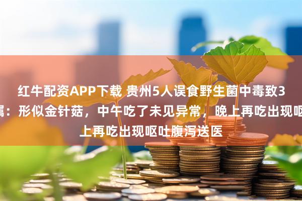 红牛配资APP下载 贵州5人误食野生菌中毒致3死2伤，亲属：形似金针菇，中午吃了未见异常，晚上再吃出现呕吐腹泻送医