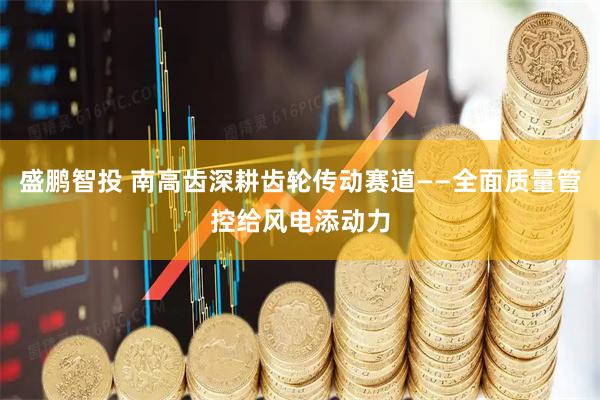 盛鹏智投 南高齿深耕齿轮传动赛道——全面质量管控给风电添动力