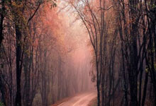 股王配资:合肥股票配资公司-“反内卷”+涨价受益股曝光！融资客大幅加仓的滞涨股仅5只